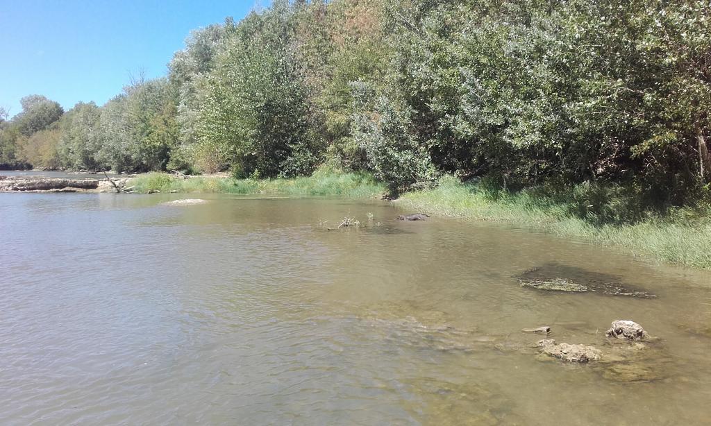 Chambre D'Hotes Avec Cuisine Commune - 5 Mns De Narbonne Cuxac-dʼAude Zewnętrze zdjęcie